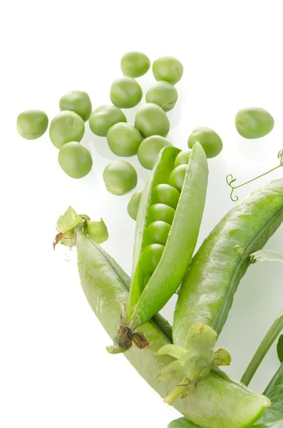 Fresh green pea pod — Stock Photo, Image