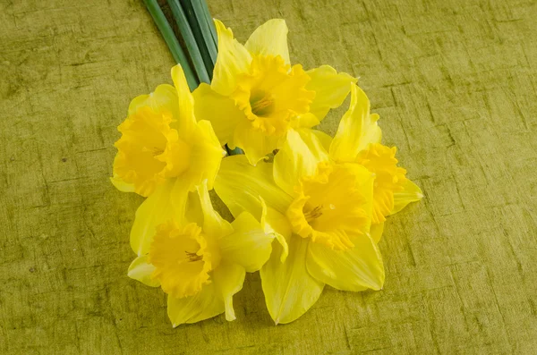 Flores de jonquil — Fotografia de Stock