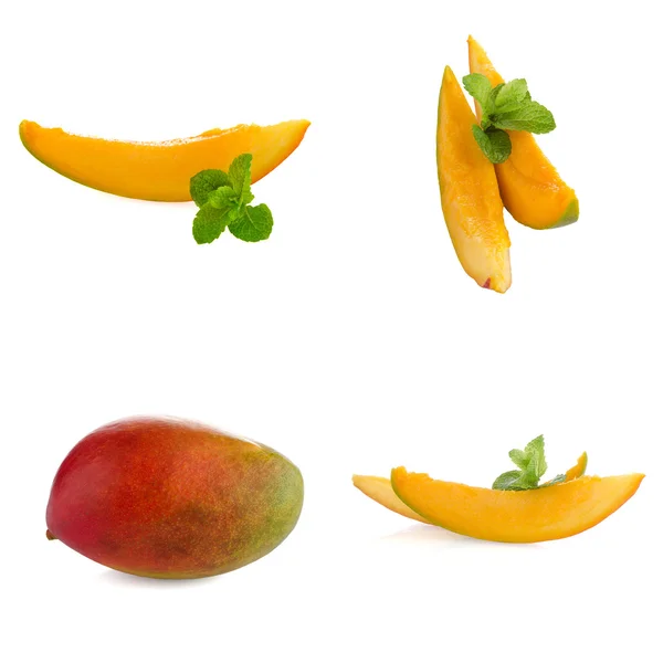 Set of mango fruit — Stock Photo, Image