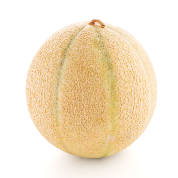 Honeydew melon