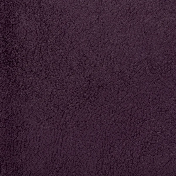 Violet lederen textuur — Stockfoto
