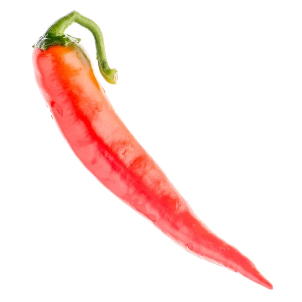 Red chilli pepper — Stock Photo, Image