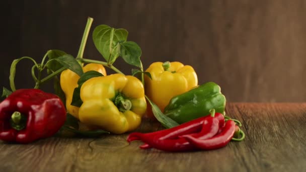 Colored bell peppers — Stock Video