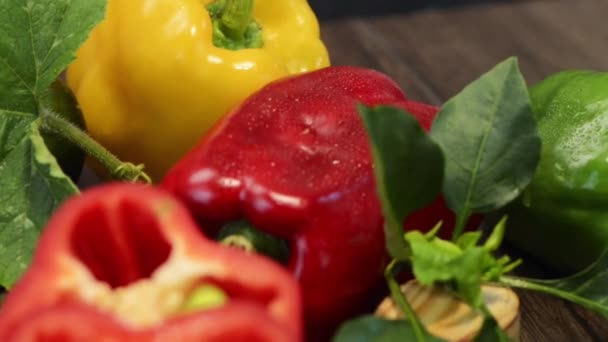 Colored bell peppers — Stock Video