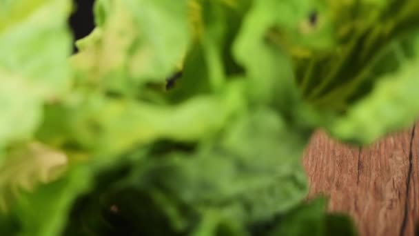 Soup with vegetables — Stock Footage Soup with vegetables Stock Video