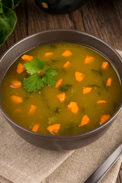 Suppe mit Gemüse — Stockfoto