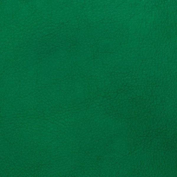 Green leather — Stock Photo, Image