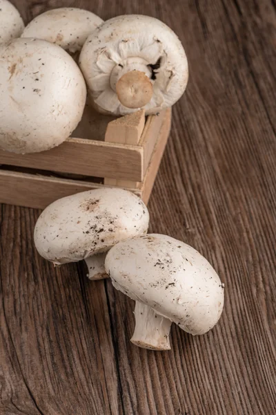 Champiñones en una caja de madera —  Fotos de Stock