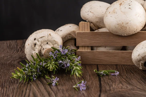 Champiñones en una caja de madera — Foto de Stock