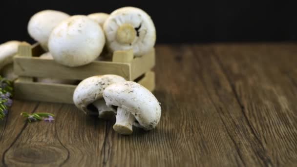 Champiñones en una caja de madera — Vídeo de stock