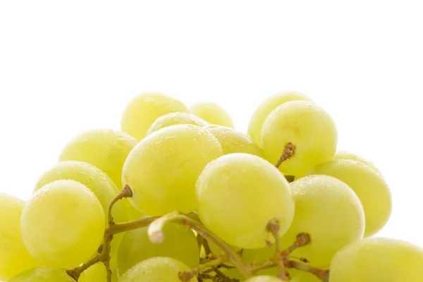 Uvas verdes — Foto de Stock