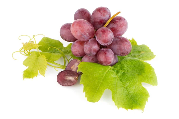 Ramo de uvas rojas — Foto de Stock