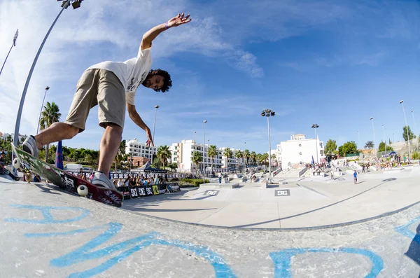 Pedro Roseiro — Foto de Stock