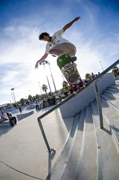 Pedro Roseiro — Foto de Stock