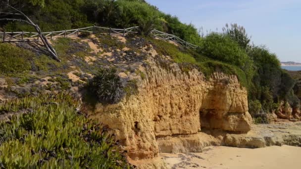 Maria Luisa strand in Albufeira, Portugal — Stockvideo