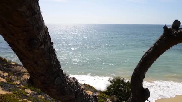 Playa Maria Luisa en Albufeira, Portugal — Vídeos de Stock