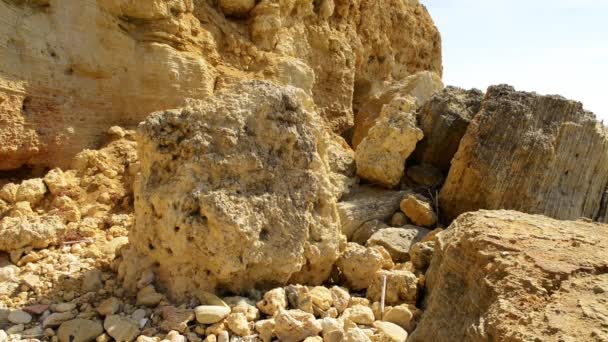 Playa Maria Luisa en Albufeira, Portugal — Vídeo de stock