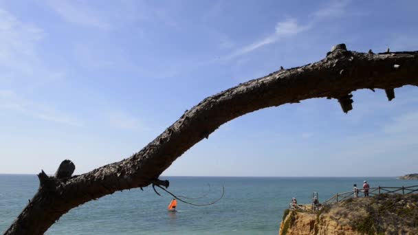 Maria luisa strand in albufeira, portugal — Stockvideo