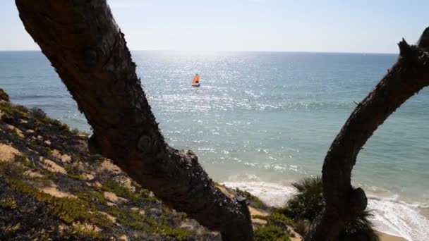 Maria Luisa beach i Albufeira, Portugal — Stockvideo