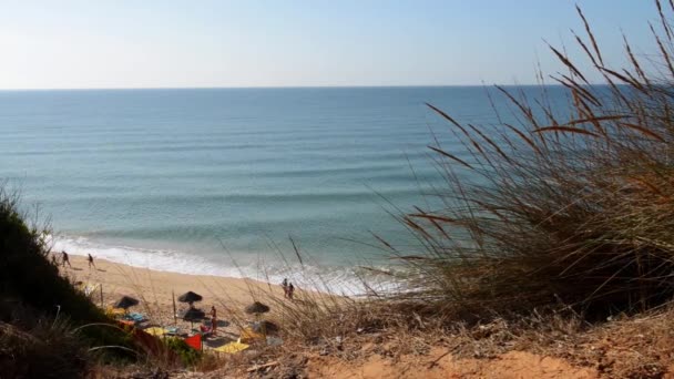 Playa de Falesia en Albufeira, Portugal — Vídeos de Stock