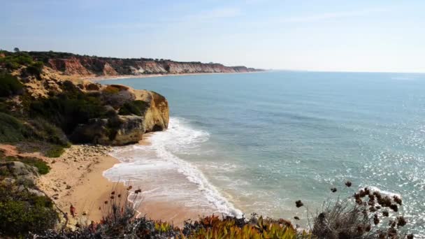 Plage d'Olhos de agua à Albufeira, Portugal — Video