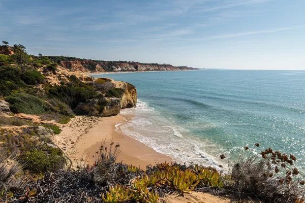 Albufeira, Portugalia Południowa. — Zdjęcie stockowe