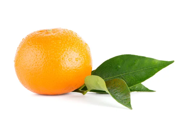 Ripe tangerine or mandarin — Stock Photo, Image