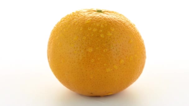 Ripe tangerine or mandarin — Stock Video