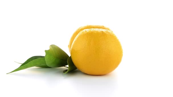 mandarine mûre ou mandarine 