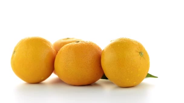 mandarine mûre ou mandarine 