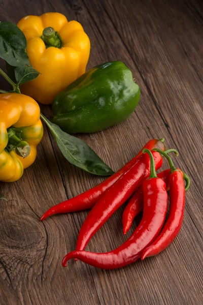 Pimentos de sino coloridos — Fotografia de Stock