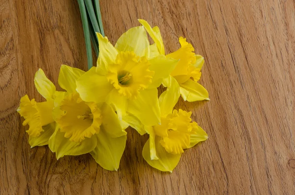 Flores de jonquil — Fotografia de Stock