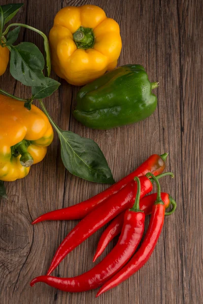 Colored bell peppers — Stock Photo, Image