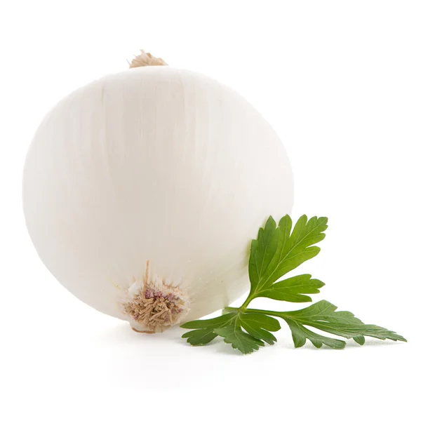 Onion and parsley — Stock Photo, Image