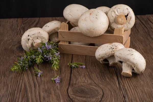 Champignons in a wooden box — Stock Photo, Image