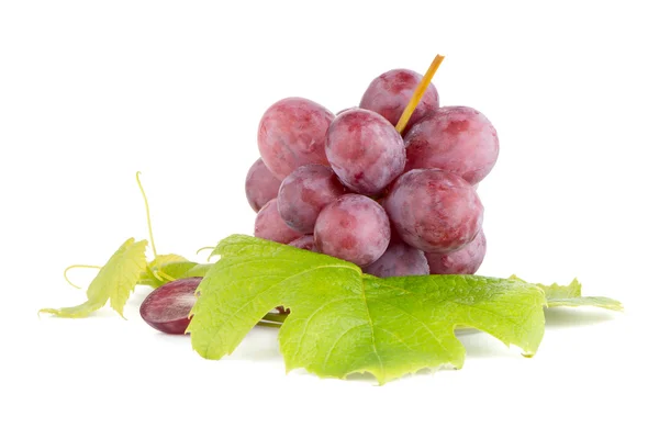 Ramo de uvas rojas — Foto de Stock