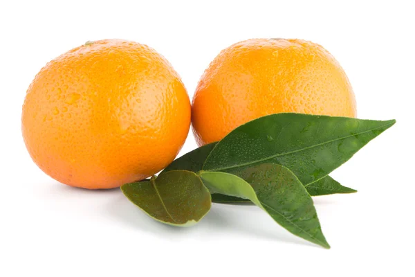 Mandarina madura o mandarina — Foto de Stock