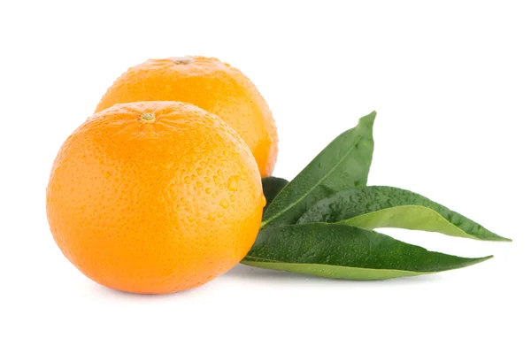 Mandarini maturi o mandarini — Foto Stock