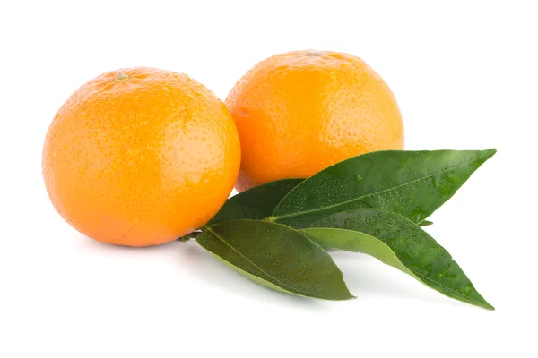 Tangerinas ou mandarinas maduras — Fotografia de Stock