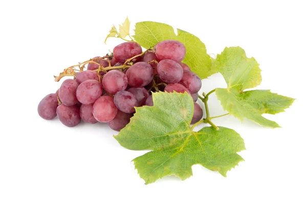 Ramo de uvas rojas — Foto de Stock