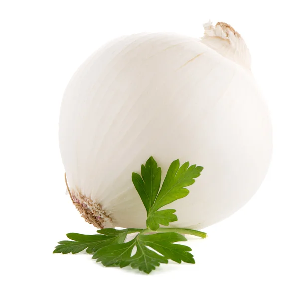 Onion and parsley — Stock Photo, Image