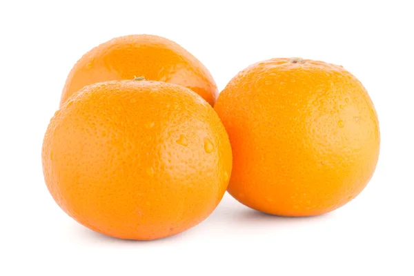 成熟的橘子或高级文官 — 图库照片