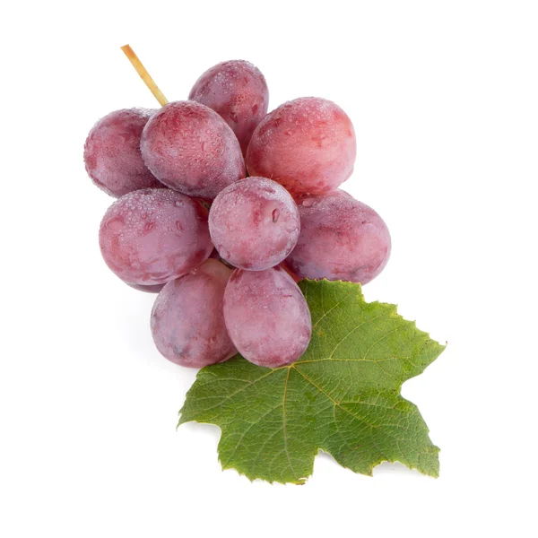 Bunch of red grapes — Stock Photo, Image