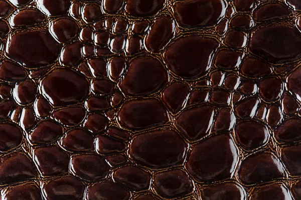 Brown snake skin background — Stock Photo, Image