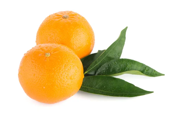 Mandarino maturo o mandarino — Foto Stock