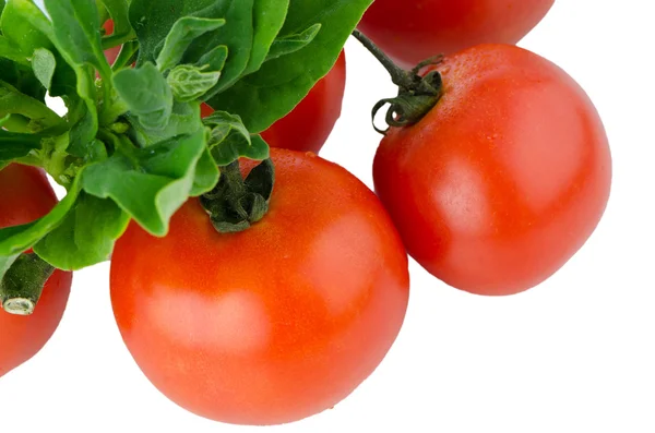 Red ripe tomato — Stock Photo, Image