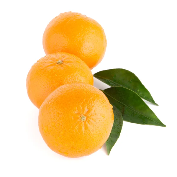 Mandarina madura o mandarina — Foto de Stock