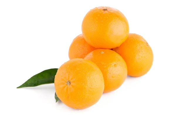 Tangerinas ou mandarinas maduras — Fotografia de Stock