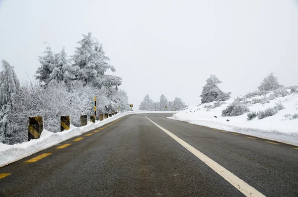 Camino nevado —  Fotos de Stock