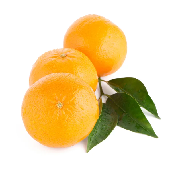 Rijp tangerine of Mandarijn — Stockfoto